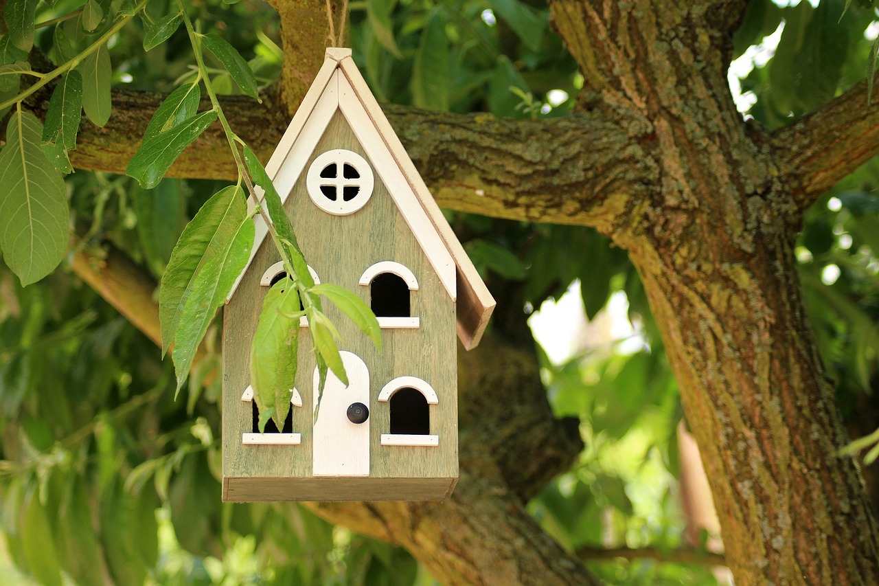 How to Build a Wooden Garden Shed: A Guide